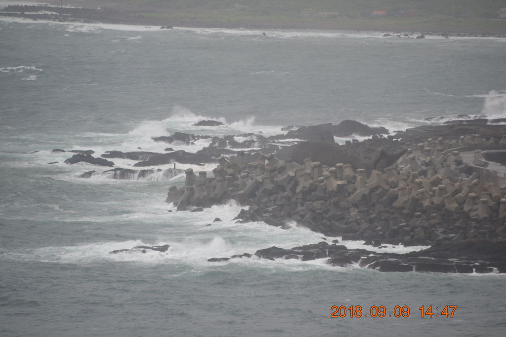 DSC_0320 DSC_0320