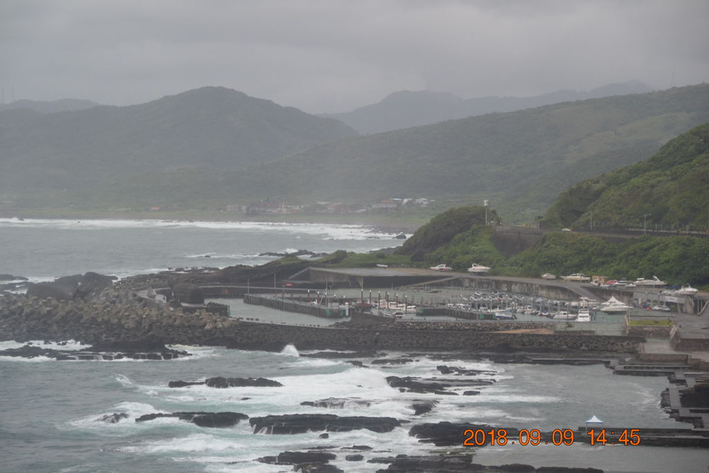 DSC_0310 DSC_0310
