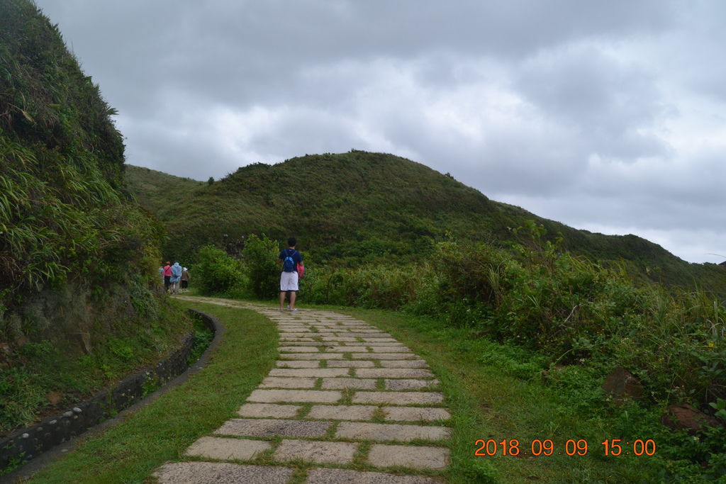 DSC_0340 DSC_0340