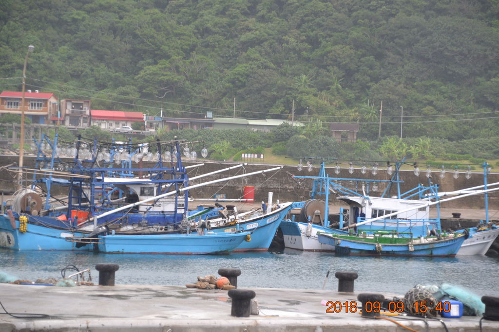 DSC_0378 DSC_0378