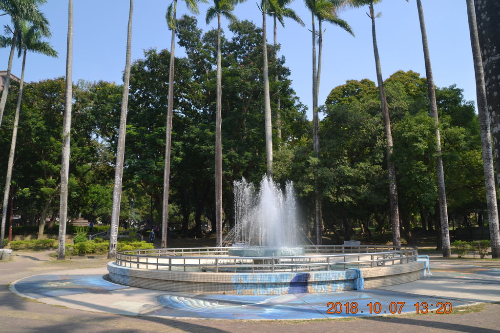 DSC_0246 DSC_0246