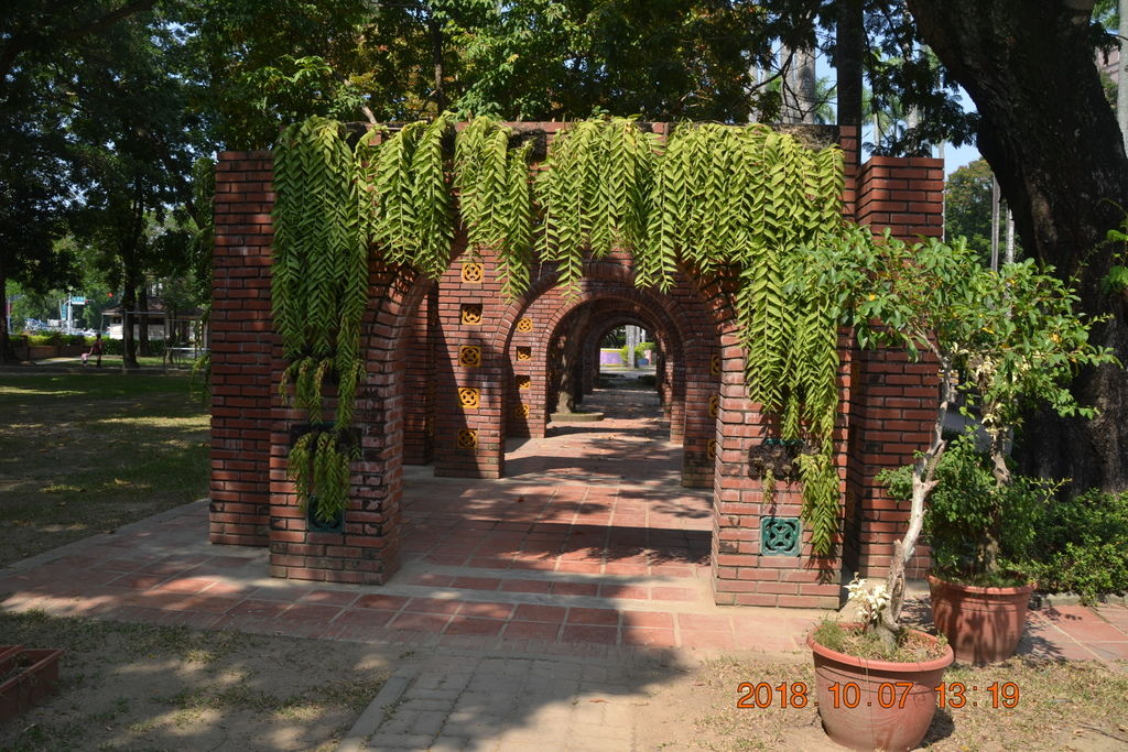 DSC_0243 DSC_0243