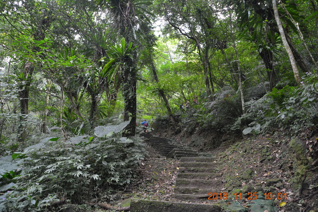 DSC_0020 DSC_0020