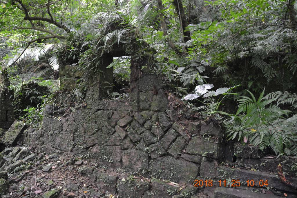 DSC_0022 DSC_0022