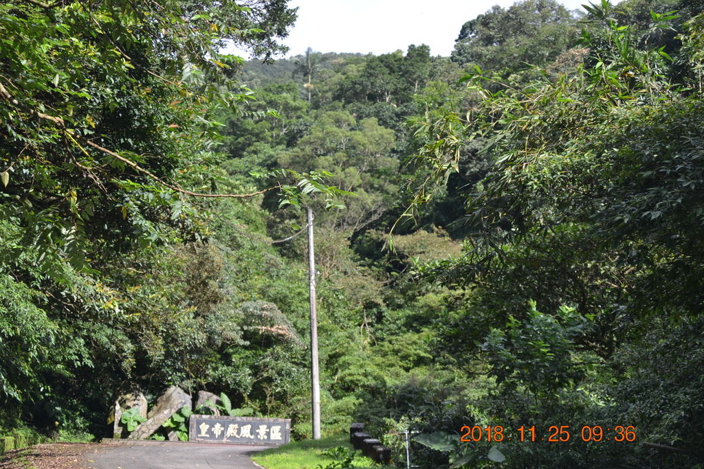 DSC_0002 DSC_0002