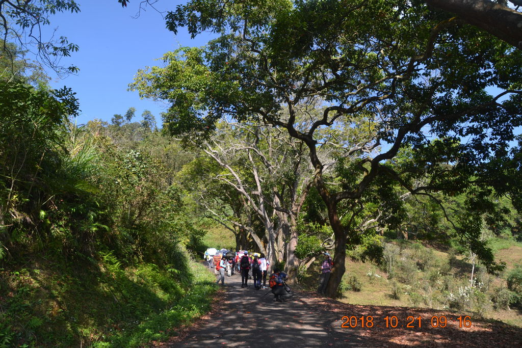 南投貓囒山步道-軟腳蝦健行隊日月潭一日遊(三)