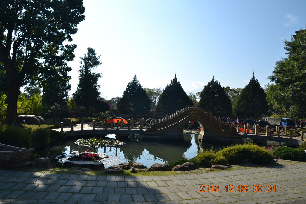 DSC_0039 DSC_0039