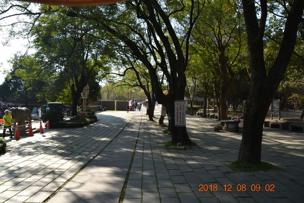 DSC_0041 DSC_0041