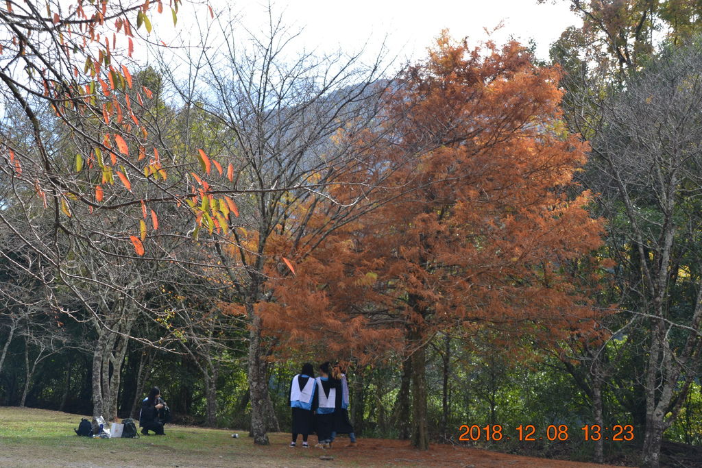 DSC_0095 DSC_0095