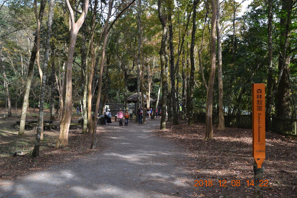 DSC_0124 DSC_0124