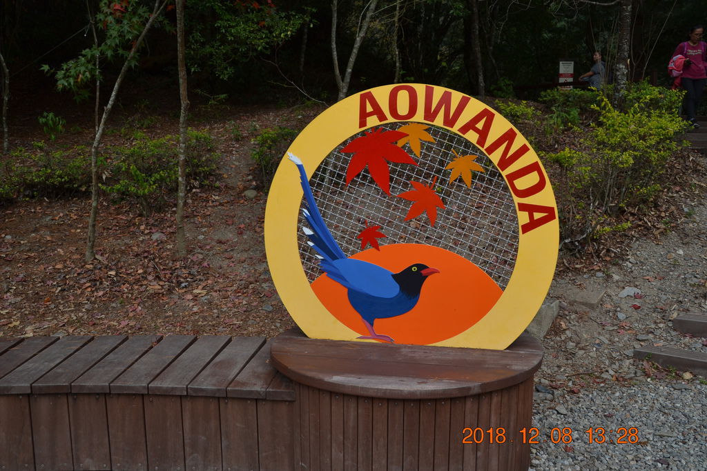 DSC_0102 DSC_0102