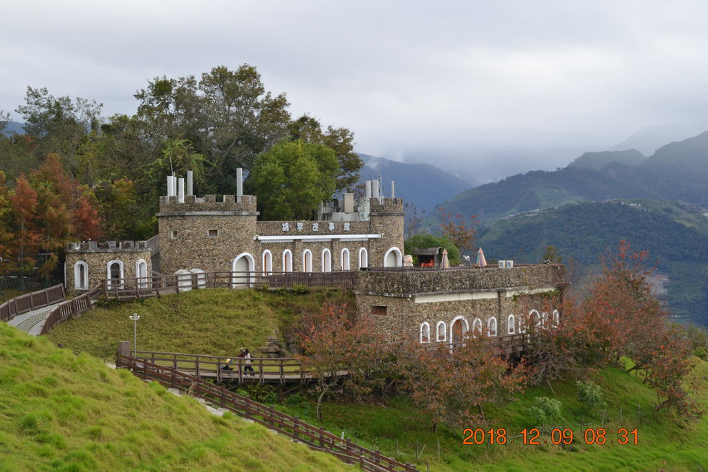 DSC_0278 DSC_0278