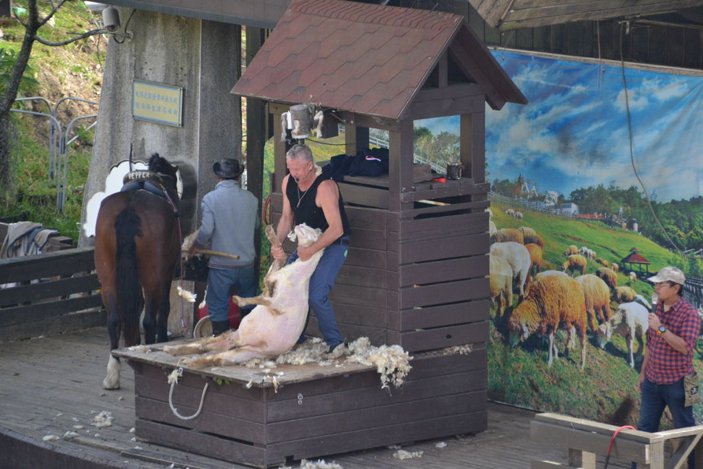 DSC_0343 DSC_0343