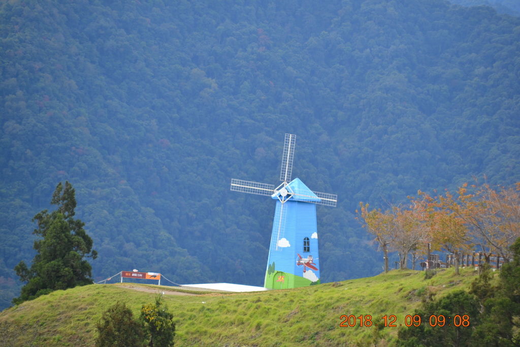 DSC_0314 DSC_0314