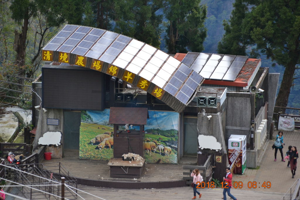 DSC_0307 DSC_0307