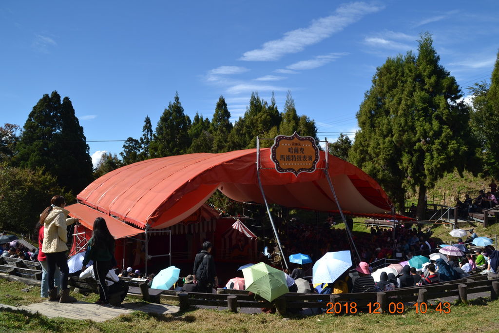 DSC_0376 DSC_0376
