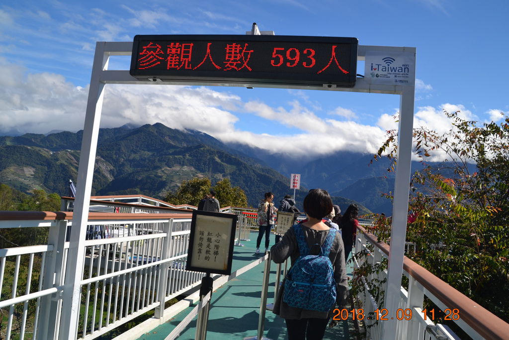 DSC_0395 DSC_0395