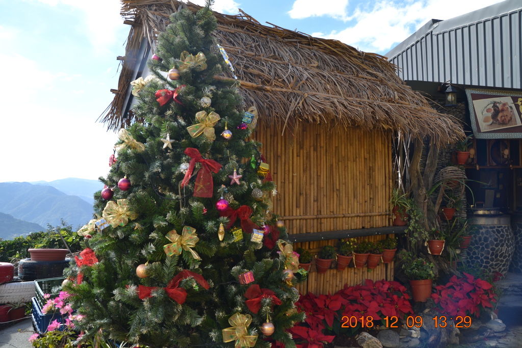 DSC_0435 DSC_0435