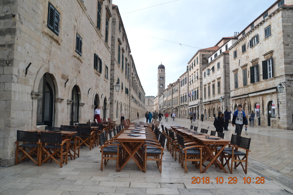 DSC_0916 DSC_0916