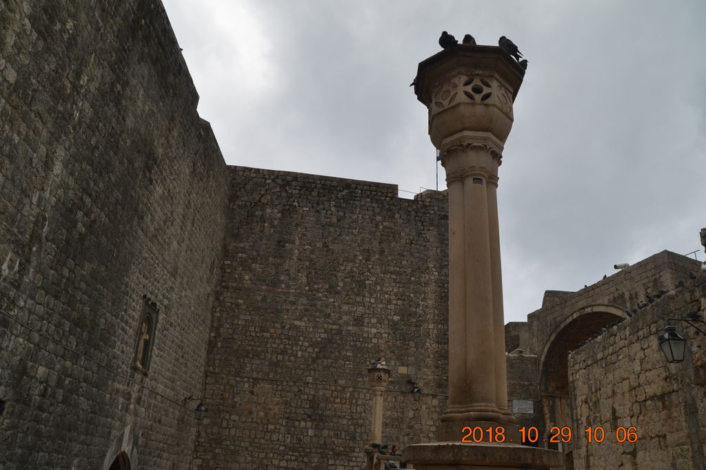 DSC_0877 DSC_0877