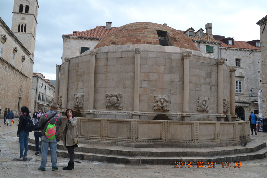 DSC_0882 DSC_0882