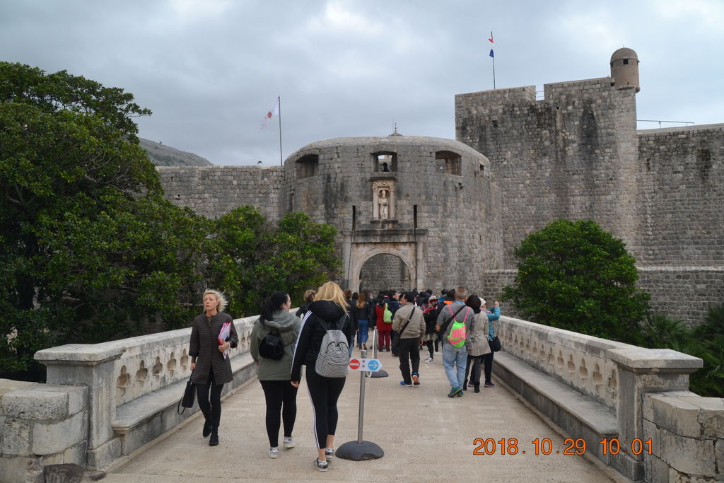 DSC_0862 DSC_0862