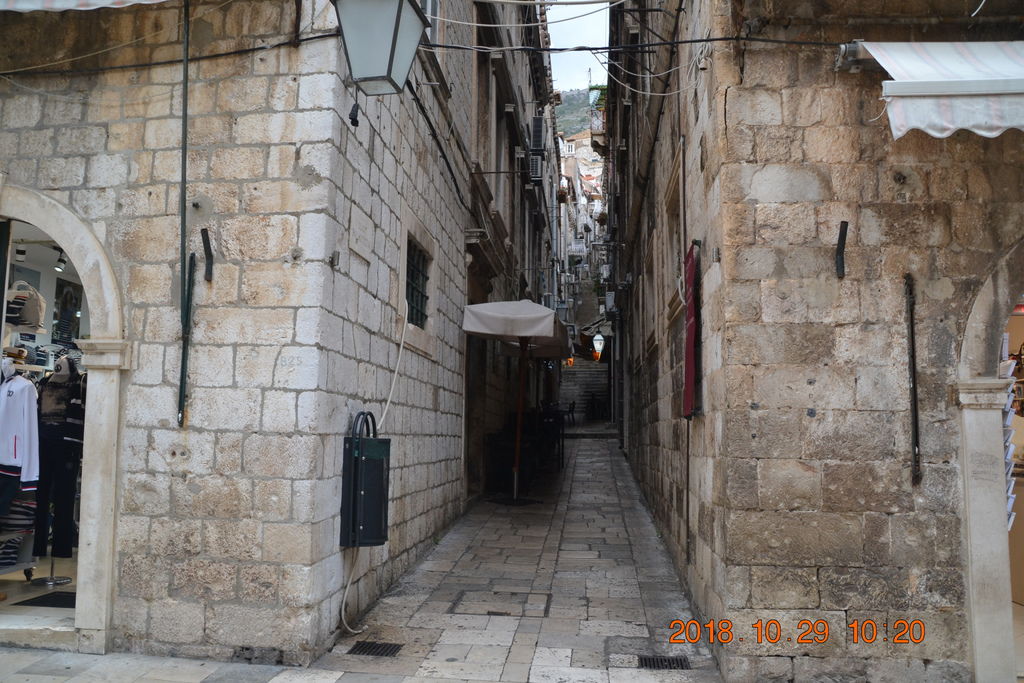 DSC_0907 DSC_0907