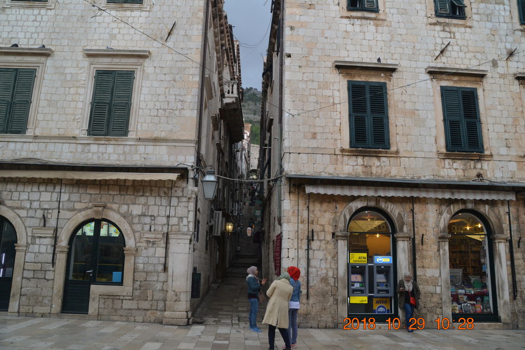 DSC_0917 DSC_0917