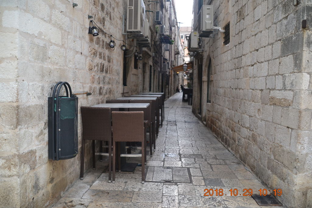 DSC_0905 DSC_0905