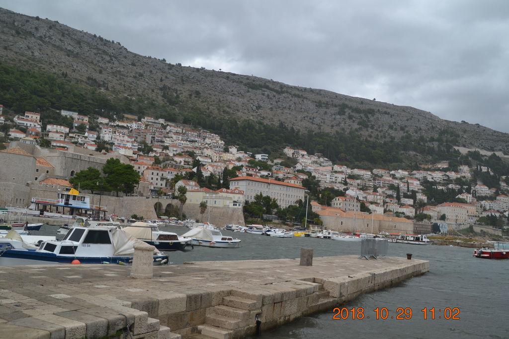 DSC_0967 DSC_0967