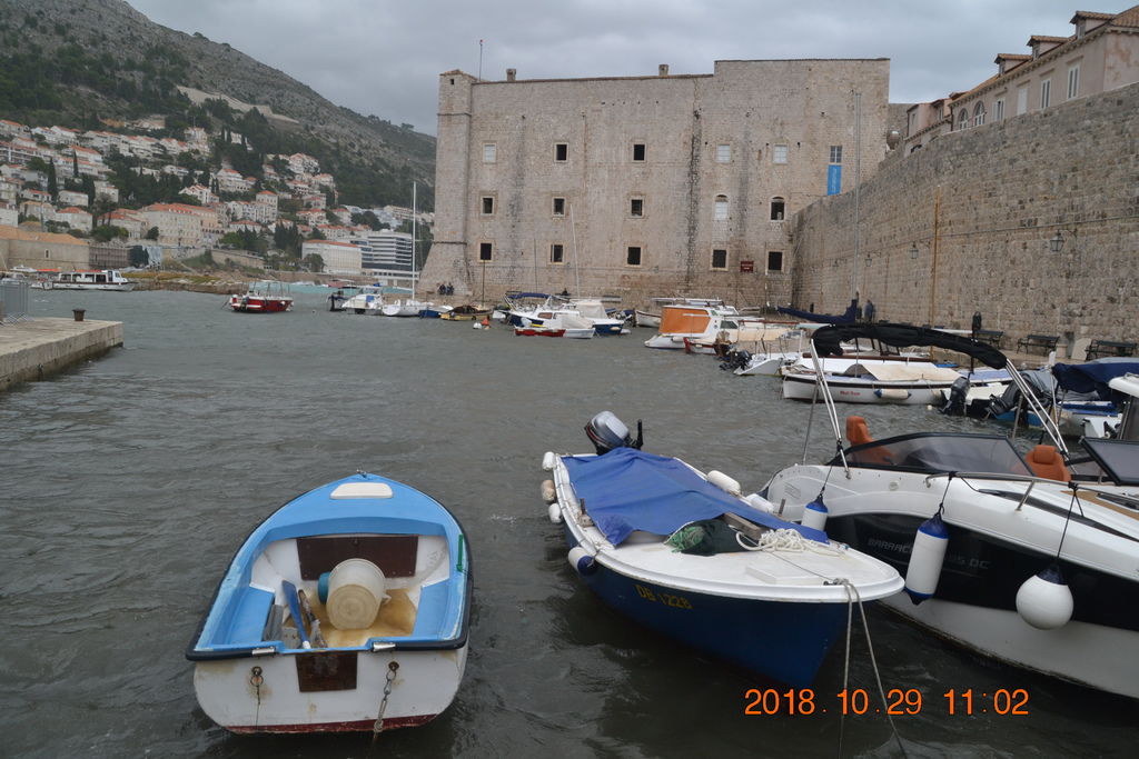 DSC_0968 DSC_0968