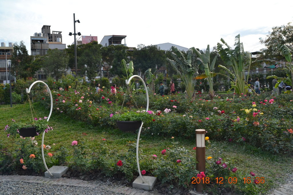 DSC_0465 DSC_0465