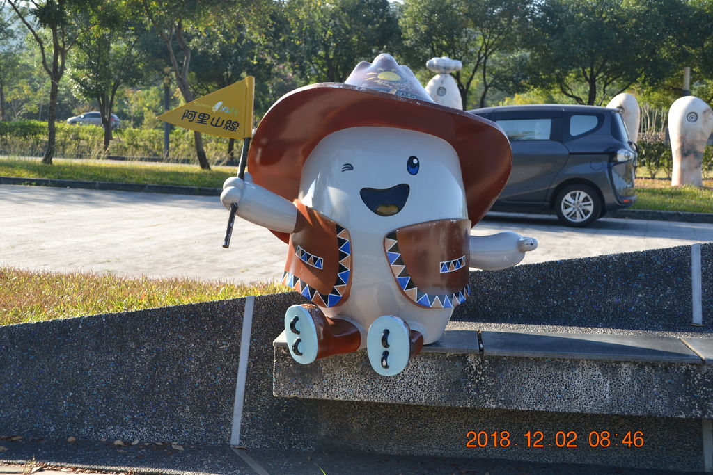 DSC_0008 DSC_0008