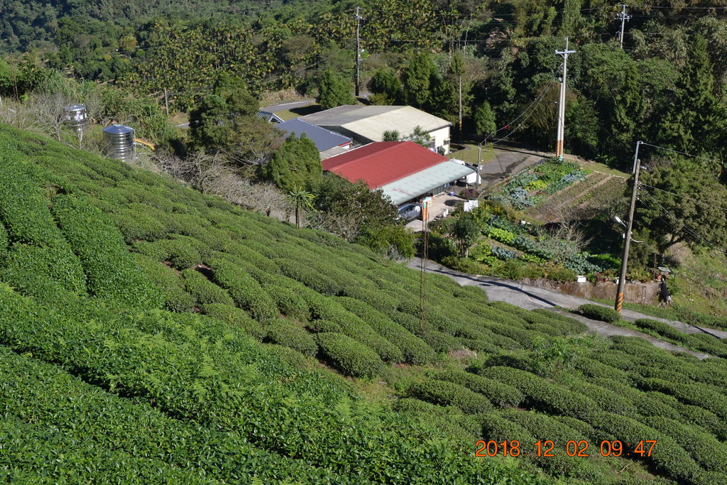 DSC_0032 DSC_0032