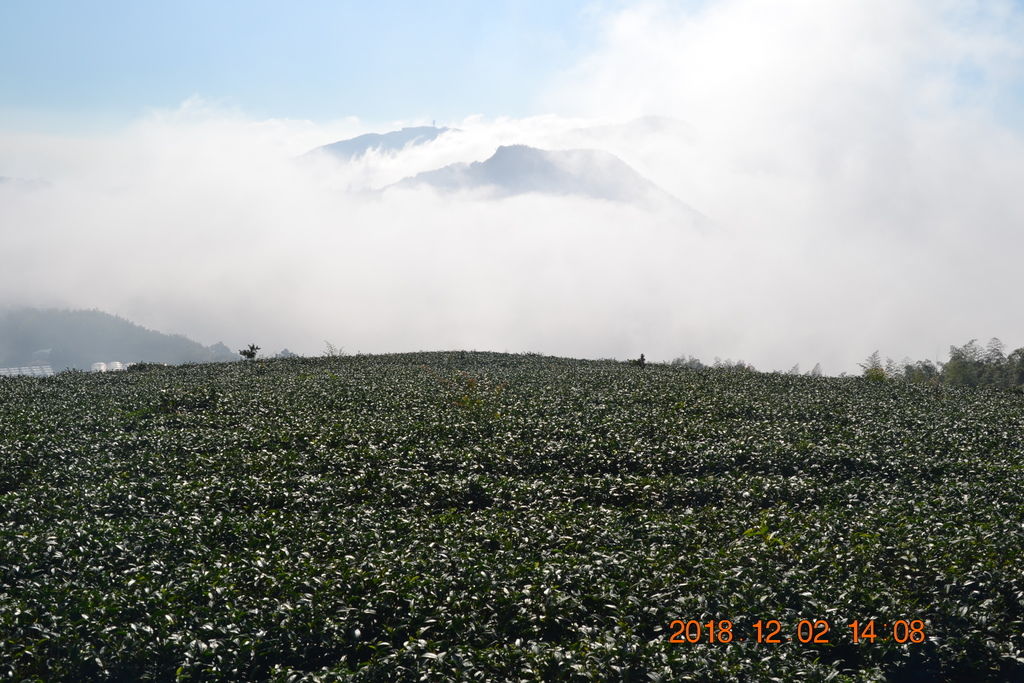 DSC_0134 DSC_0134