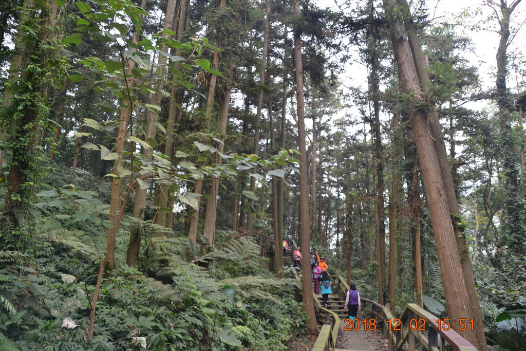 DSC_0178 DSC_0178