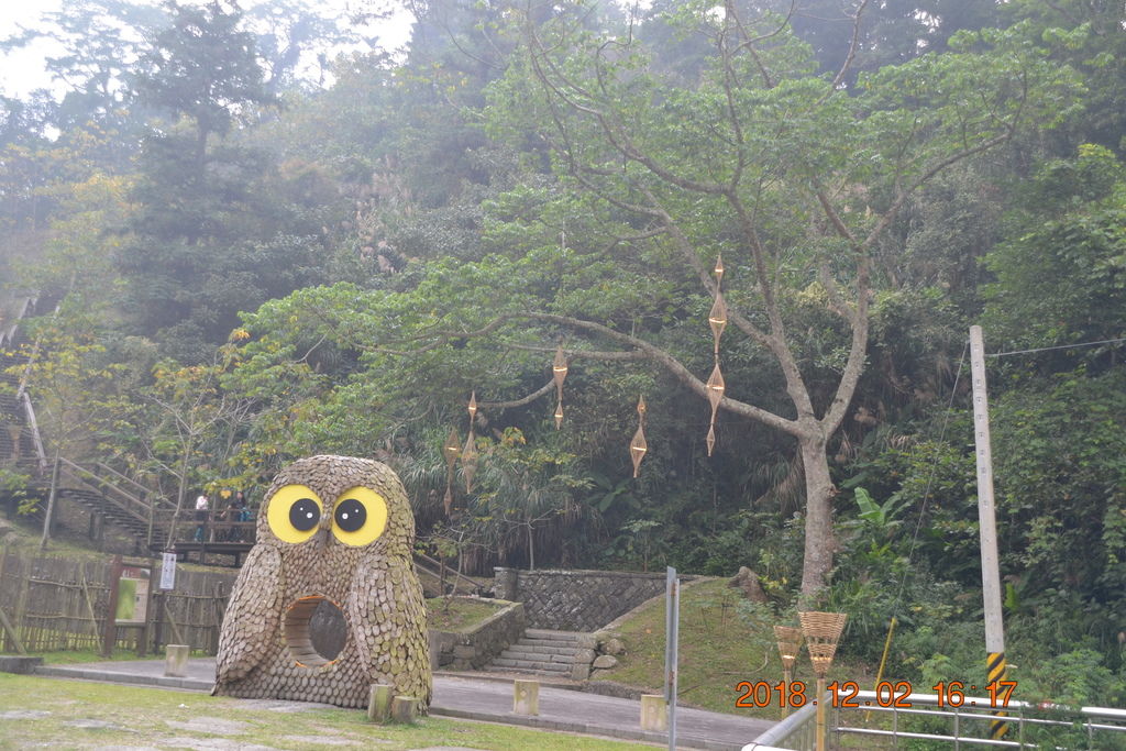 DSC_0212 DSC_0212