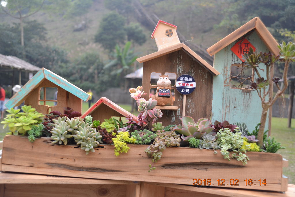 DSC_0204 DSC_0204