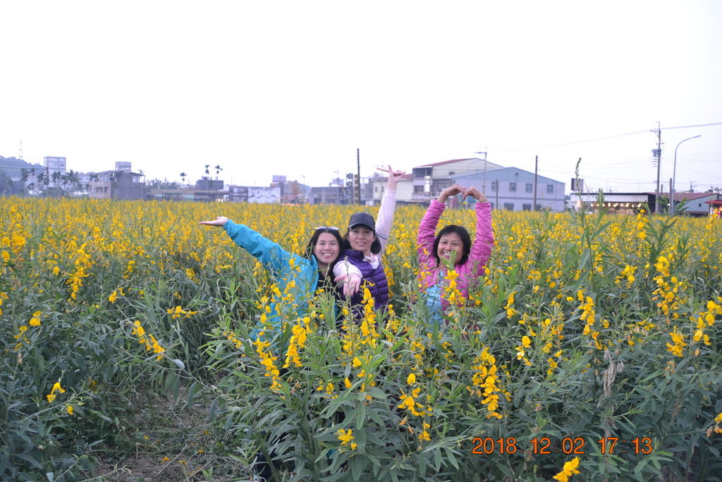 DSC_0216 DSC_0216