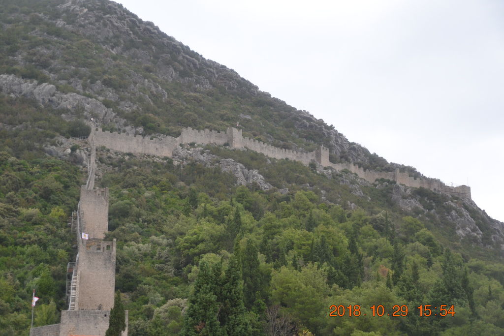 DSC_0065 DSC_0065