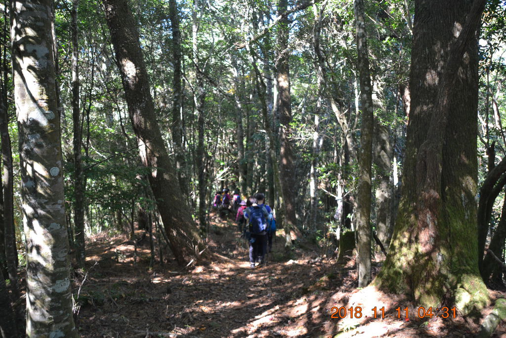 DSC_0127 DSC_0127