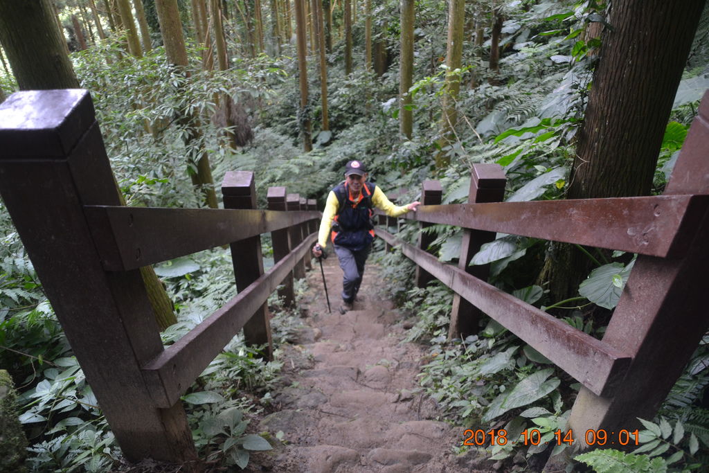 新竹北埔五指山登山步道