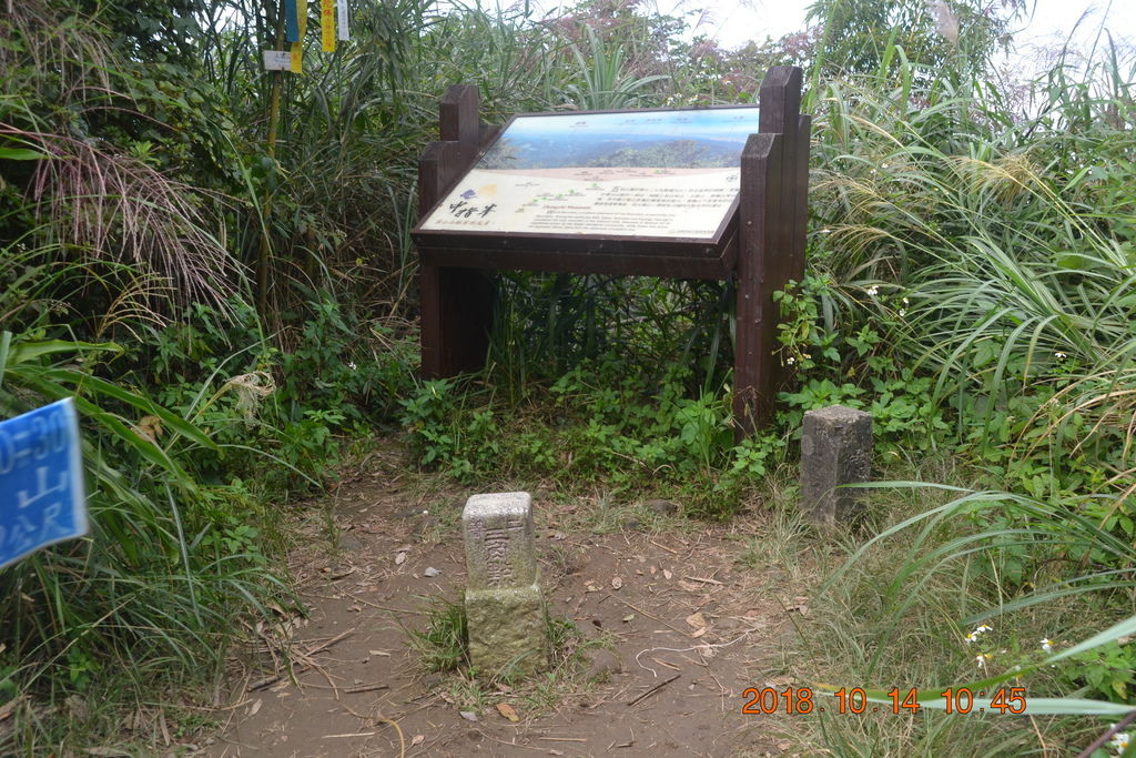 新竹北埔五指山登山步道