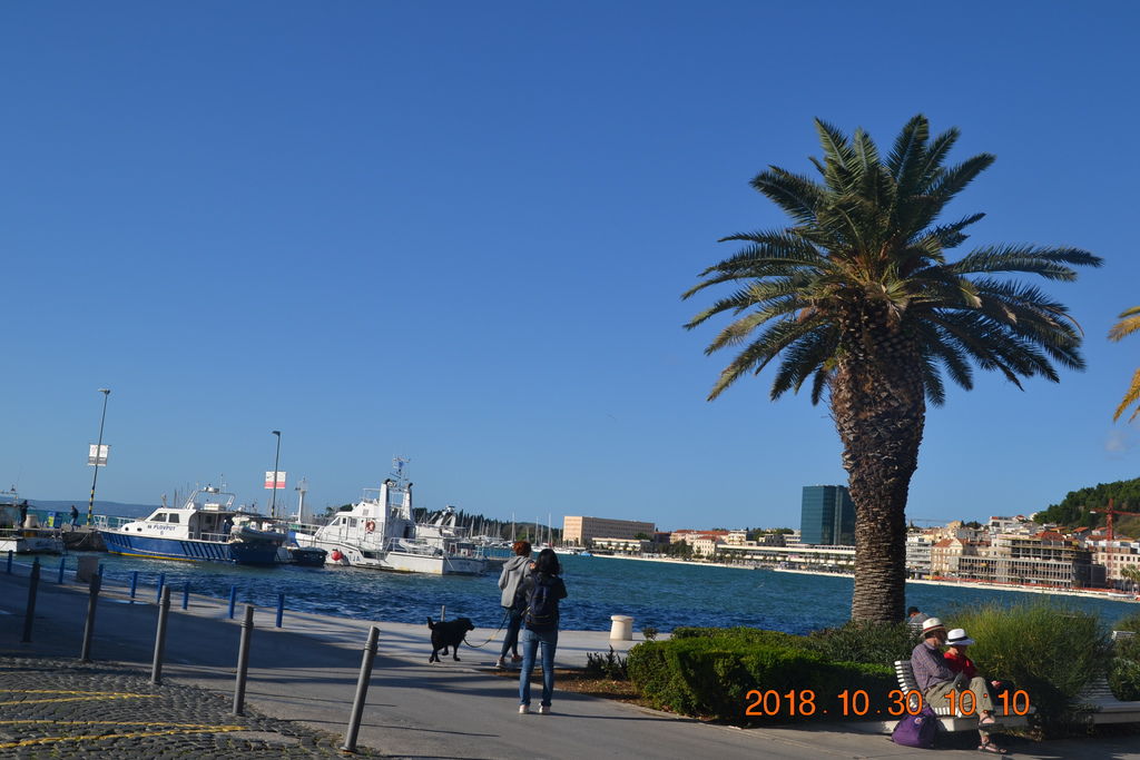 DSC_0154 DSC_0154