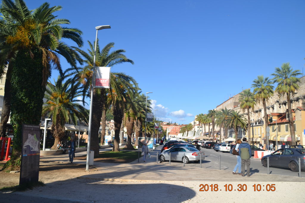 DSC_0151 DSC_0151
