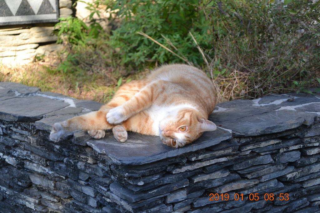 DSC_0042 DSC_0042
