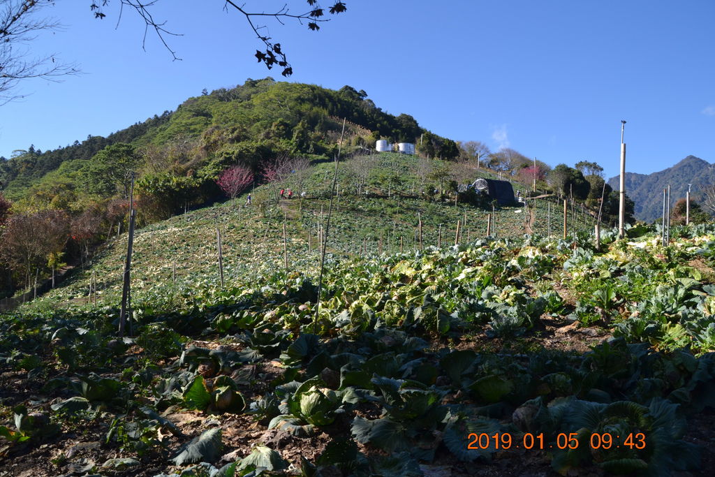 DSC_0075 DSC_0075