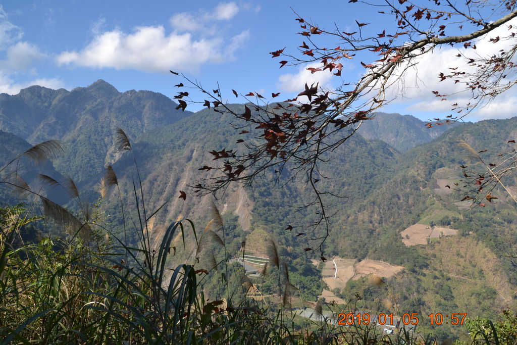 DSC_0096 DSC_0096