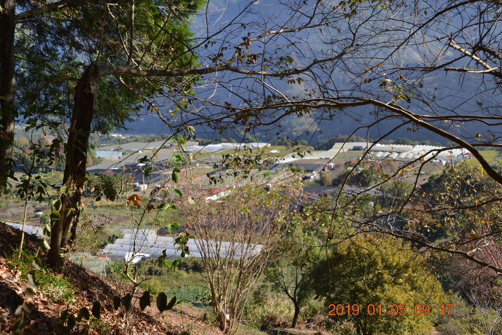 DSC_0064 DSC_0064