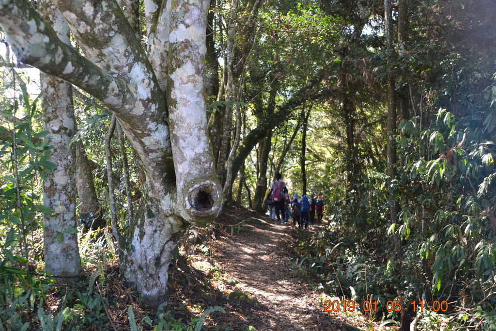 DSC_0104 DSC_0104